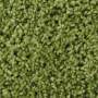 Shaggy-Teppich Einfarbig Grün